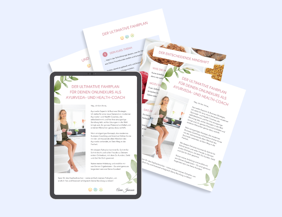 Mock-up-Onlinekurs-Fahrplan